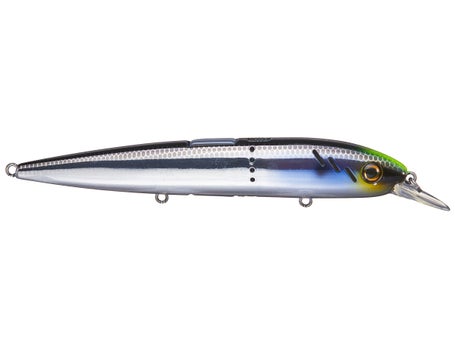 Baitsanity Explorer C2 BCS 120 Jerkbait