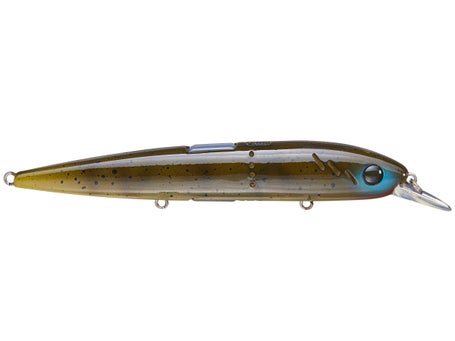 Baitsanity Explorer C2 BCS 120 Jerkbait