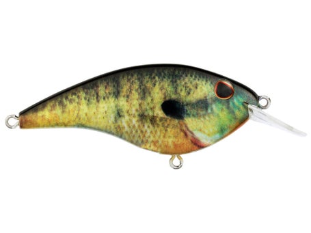 Berkley Frittside HD 5 Biggun Crankbait