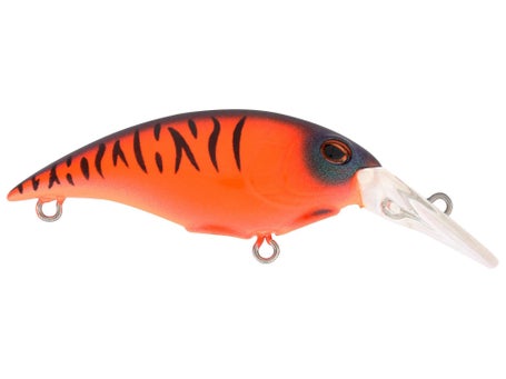 Berkley Money Badger Crankbait, designed for walleye, catches bass