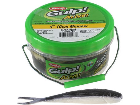 Walleye Fishing with GULP ALIVE! (IT WORKS) 