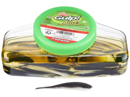 Berkley Gulp!® Freshwater Minnow Fishing Soft Bait 3in Green