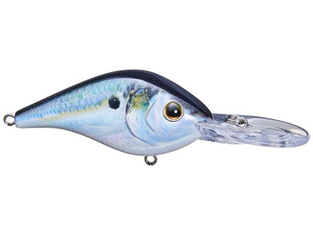 Berkley Dredger HD 14.5 Crankbait 