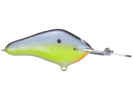 do fishing lures still help at 300 in classic RARE RAPALA 90 Years Lure Kit 2x ORIGINAL FLOATER + 1x FLOATER ELITE – Darkagelures anglers will benefit from positive hooksets and seamless hook penetration.Featuring a unique lead tuning button at the lip for straight and balanced retrieves 300 Series • Vintage WHOPPER
