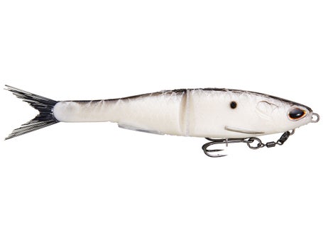4 Season Sports - Just in, some awesome new baits from
