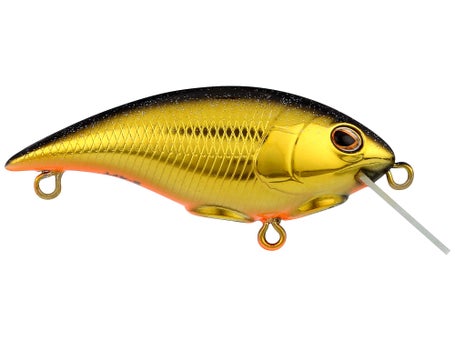Berkley Shallow Money Badger 4 Crankbait