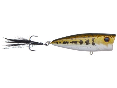 How to Choose between a Topwater Popper and Popping Frog - Wired2Fish