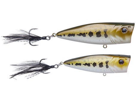 How to Choose between a Topwater Popper and Popping Frog - Wired2Fish