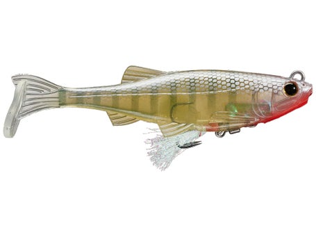 Biwaa Kapsiz Kast HD Rigged Swimbait