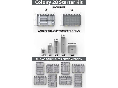 Buzbe Colony 28 Starter Kit