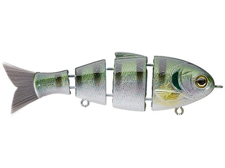 Bucca Brand Baby Bull Shad Swimbait 3.75 