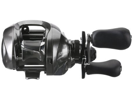 Buy Shimano Chronarch G SW Baitcasting Fishing Reel, 7.1:1,  Right-Handed,Black,CH150HGG Online at Low Prices in India 