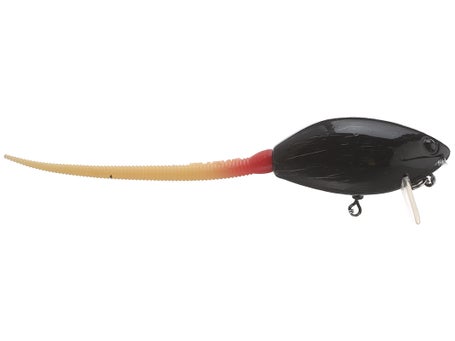 CL8 Bait Baby Muskrat Bone White