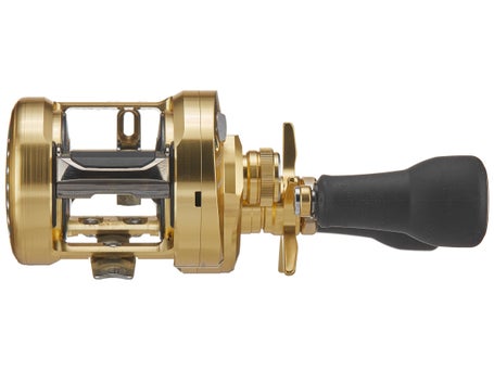Shimano Calcutta Conquest MD Casting Reel - American Legacy Fishing, G  Loomis Superstore