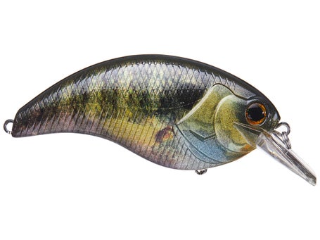 Deps Evoke 4.0 Squarebill Crankbait