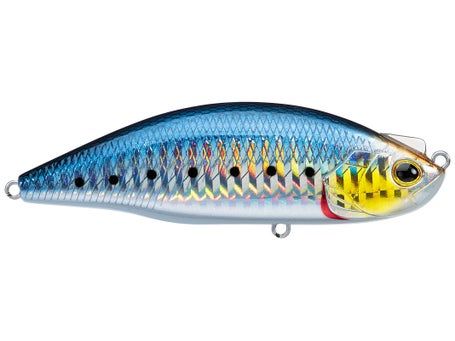 Daiwa Lazy Fashad 