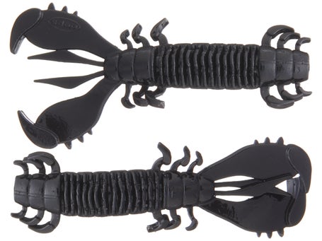 Deps MS Craw