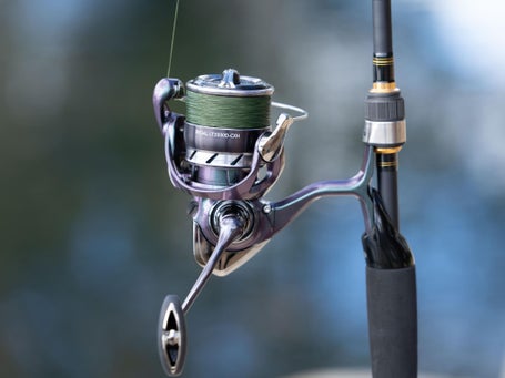 Daiwa Regal LT Spinning Reel