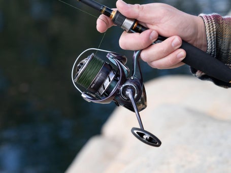 Daiwa Regal LT Spinning Reel