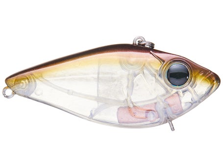 Damiki Tremor 65 Noisy American Shad