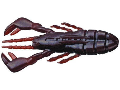 Evergreen Claw Motion