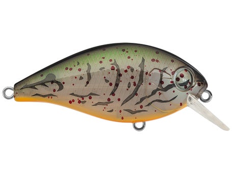 Evergreen CH-1 Crankbait, Champion Shad