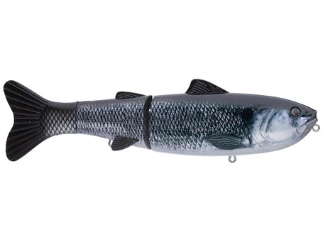 Baitsanity Explorer Gen 2 Glide Bait