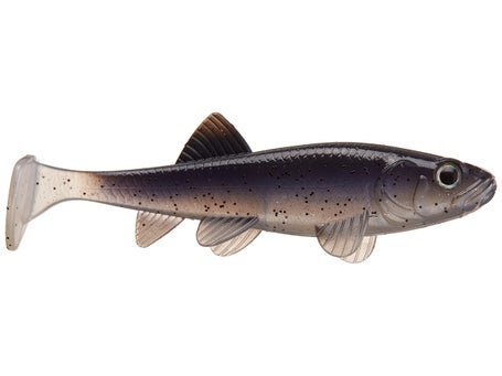 Minnow misconceptions – The Fisheries Blog