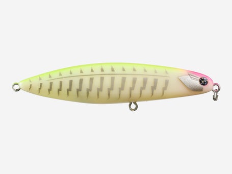 Fish Magnet Tygan Bone Topwater
