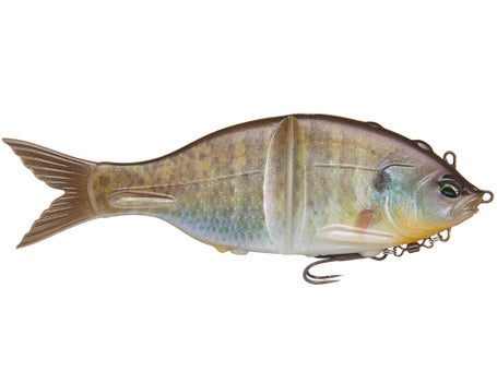 Bluegill Glidebait 5.9