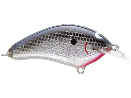 Greenfish Tackle G Flat Shallow Diving Crankbait