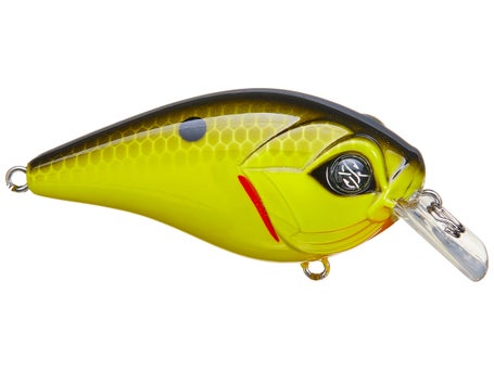  Googan Squad, Banger, Bass Crankbait, 2-1/4 in, 3/8 oz,  Chartreuse Black Back, Freshwater Fishing Lure : Sports & Outdoors