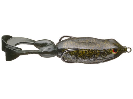 Gambler Swimming Frog