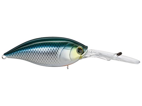 DUEL Hardcore Crank SR 65F #07 HGSN Golden Shiner Lures buy at