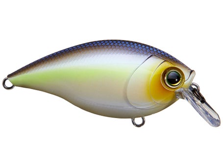 Duel Hardcore Surface Floating Crankbait 65 mm 8g Multicolor