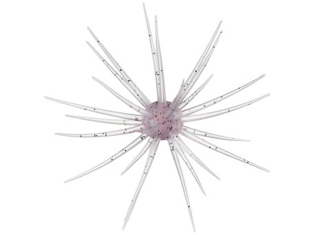 Hideup Coike 13mm Creature Bait