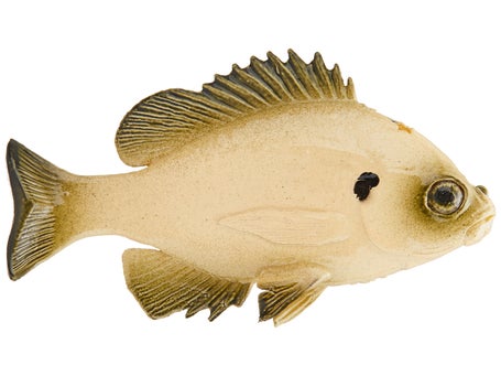Blue Gill Sun Fish Panfish Talipia for Bass Fishing Lure