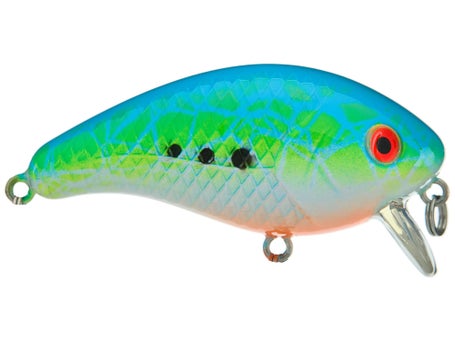 Head Hunter Baby Hunter Crankbait