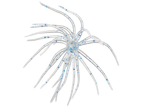 Hags Prickly Pear Jr 10mm Creature Bait 2pk