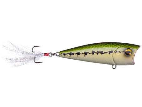 Micro Topwaters For Finicky Bass - Tackle Warehouse