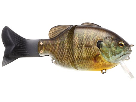 Imakatsu Baby Gillroid Swimbait