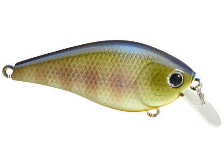 Lucky Craft KJ Flat 1.0 Silent Crankbaits\