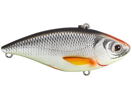 Fishing Tackle Lures Erratic Shiner Casting Silver-Blue