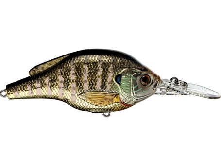 Fishing Lures for Bass & Bluegill - Realistic Fishing