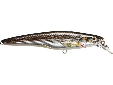 LIVETARGET Rainbow Smelt Jerkbait 115D
