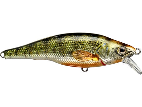  LIVE TARGET Fishing Tackle Lures Yellow Perch Bait  Metallic-Gloss : Sports & Outdoors