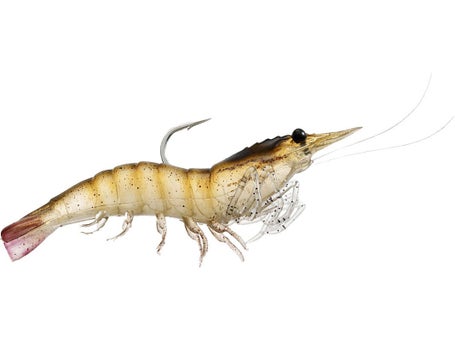 Live Target Hybrid Shrimp Review 