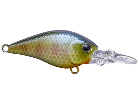 Sebile D weedless crankbait. Innovation at its best.