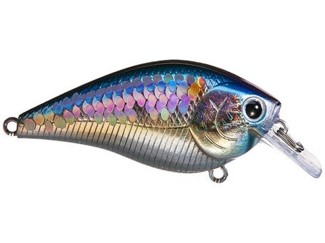 FISH THIS! CUSTOM PAINTED Lucky Craft 2.5 Square bill  Toxic DeMon Shad  LOOK