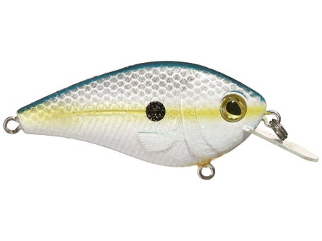 FlatMaster SQ – Livingston Lures